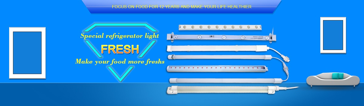 Expo of Led Freezer Light - 20th CHINASHOP 2018